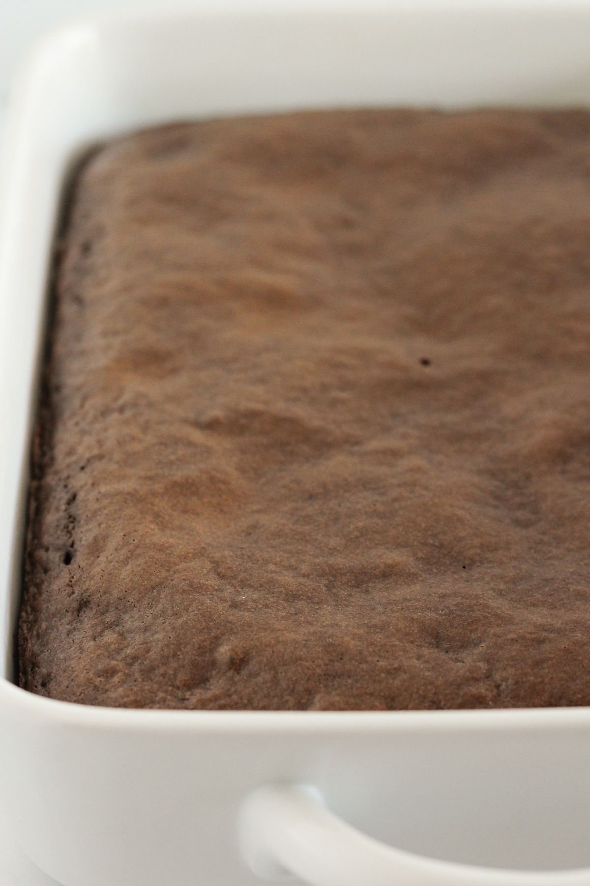 A baked chocolate cake in a pan.