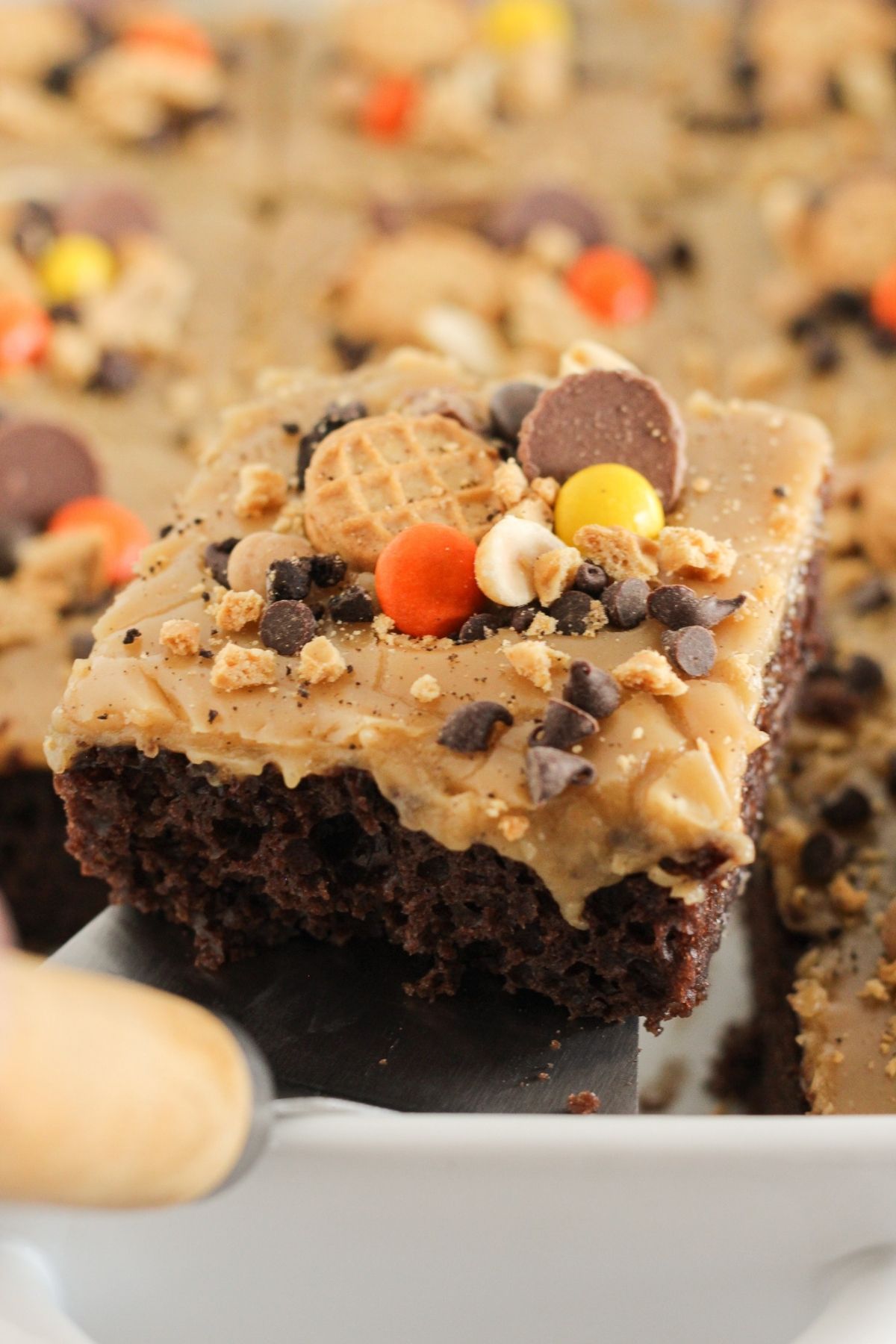 Serving a piece of chocolate peanut butter cake.