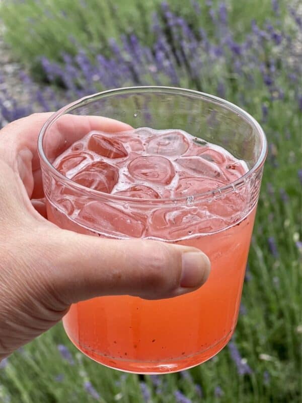 Drinking strawberry lemonade in the lavender garden.