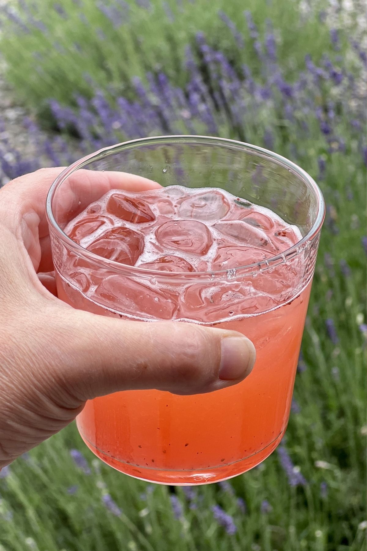Drinking strawberry lemonade in the lavender garden.