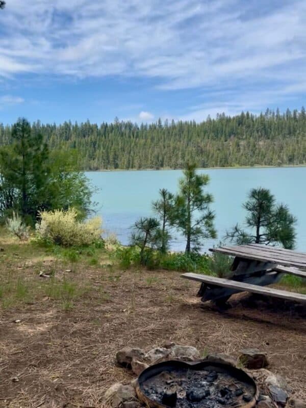 My favorite place in the world, a lake in the woods.