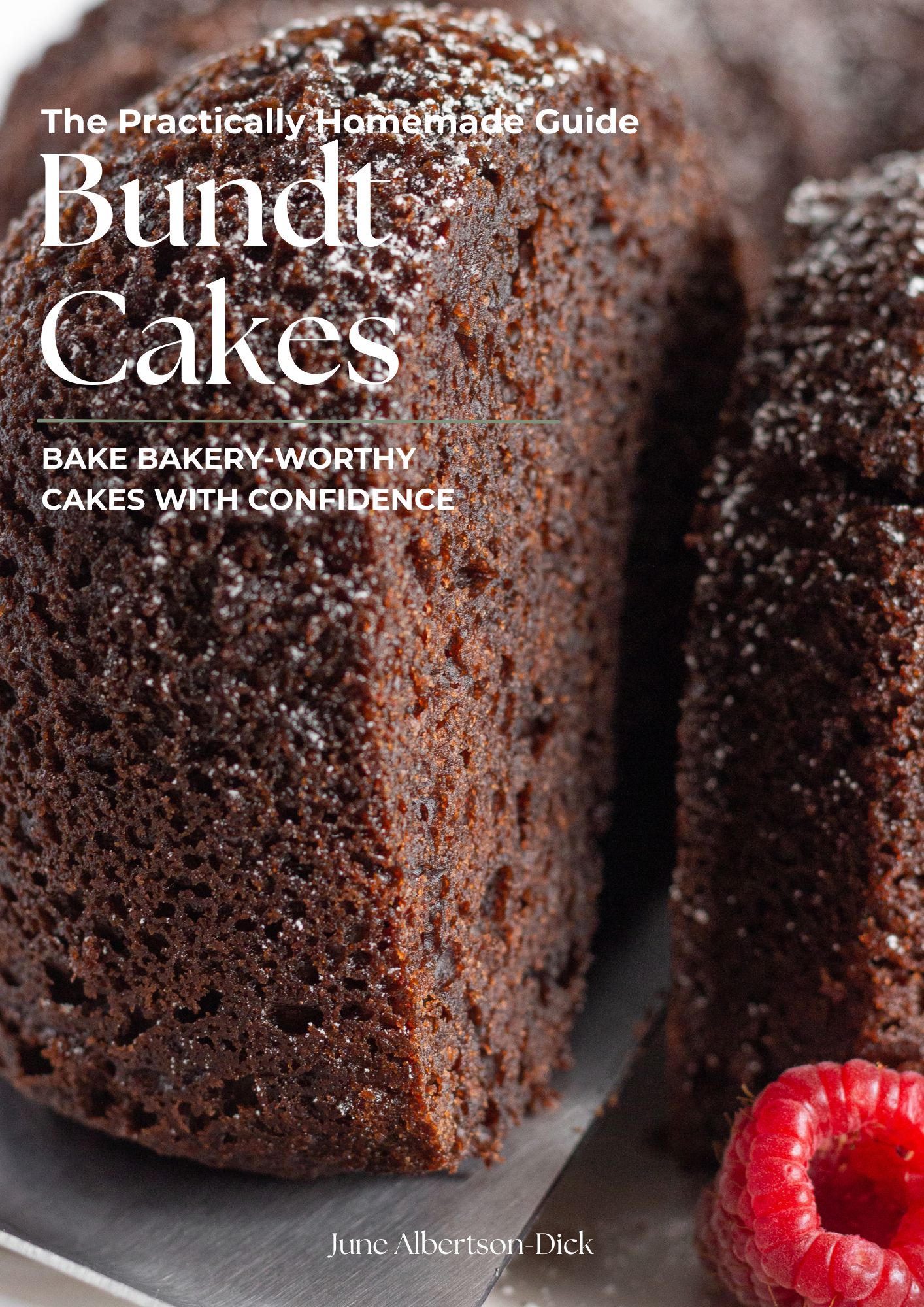 Bundt cake guide cover.