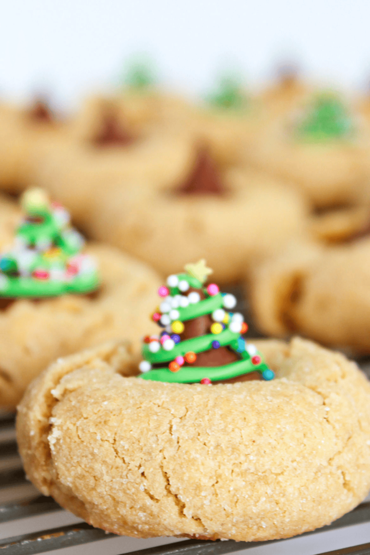 Christmas cookies on a cooling rack.